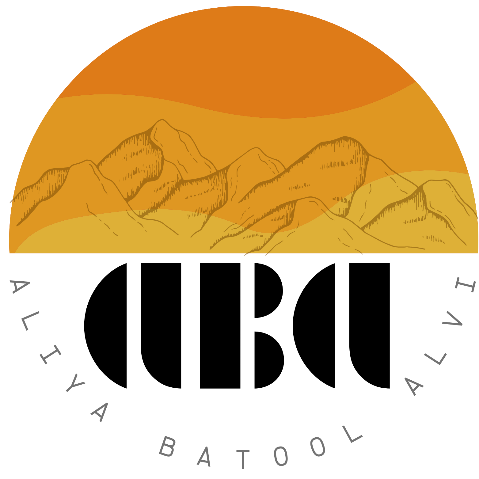 aliyabatoolalvi